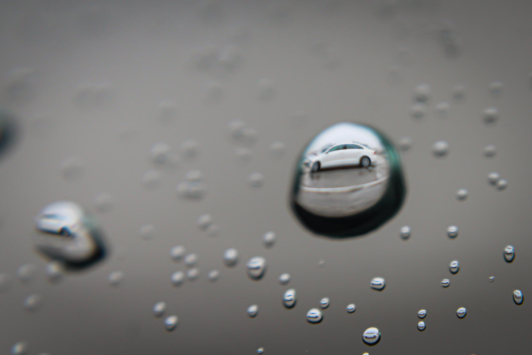 Duplication Droplets